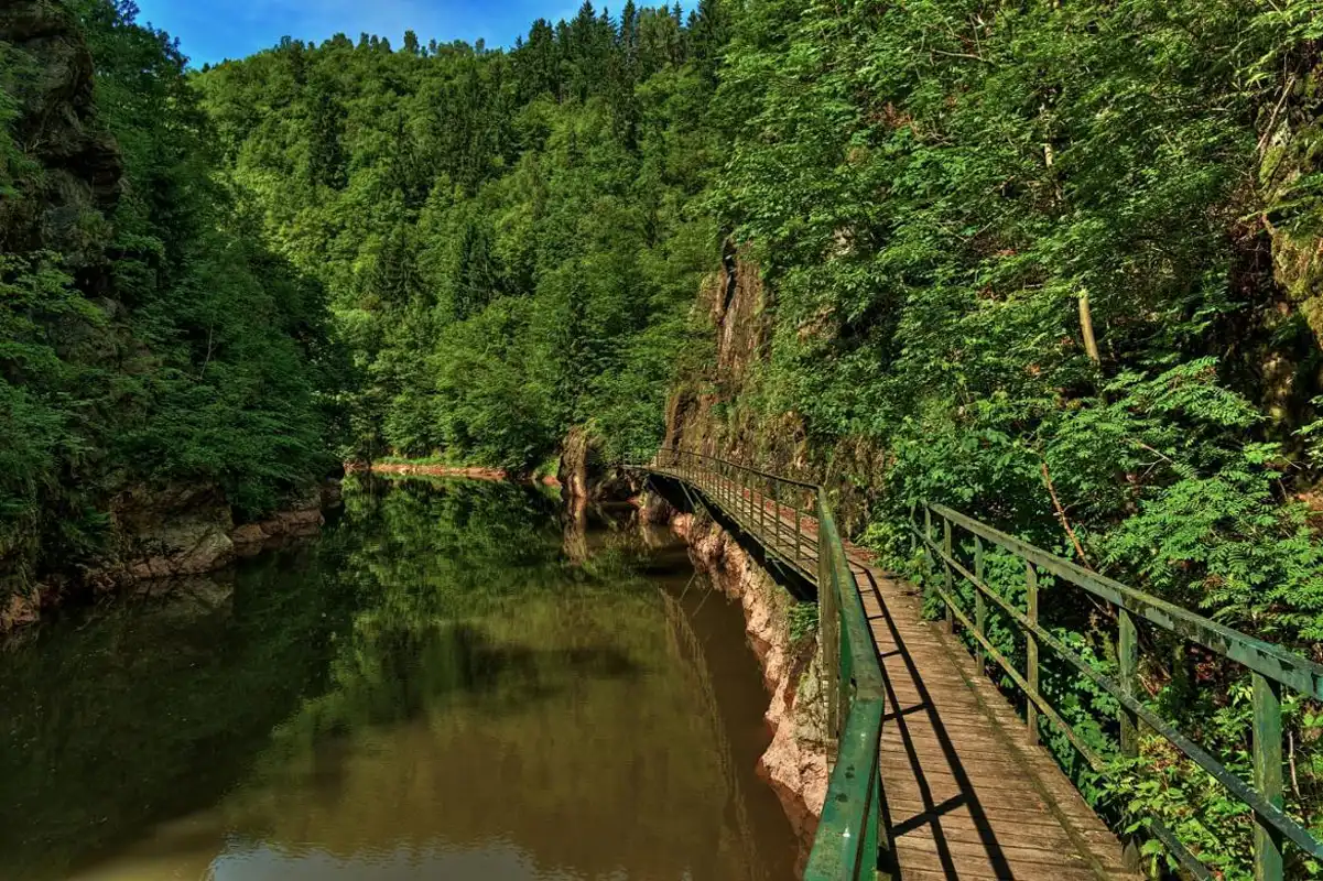 Sport a příroda Sport a příroda